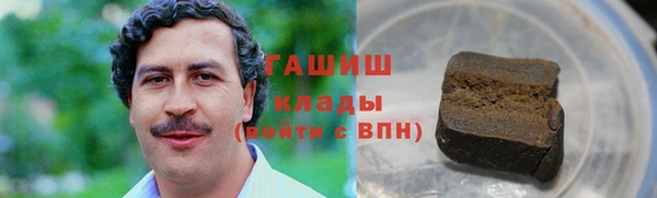 гидра Михайловка