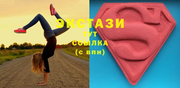 гидра Михайловка