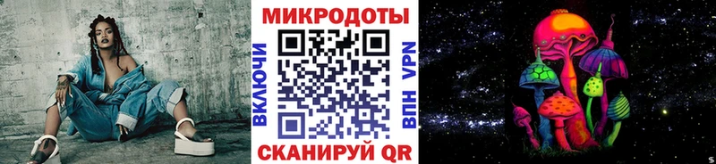 Псилоцибиновые грибы Psilocybe  Нововоронеж 