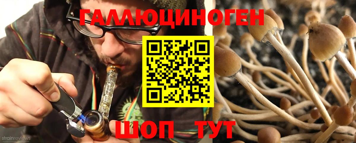 Канабис Нововоронеж