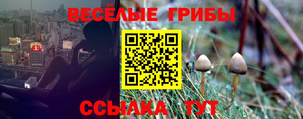 Галлюциногенные грибы ЛСД Нововоронеж